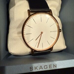 Skagen Signatur SKW6430, Black and Gold with White Face